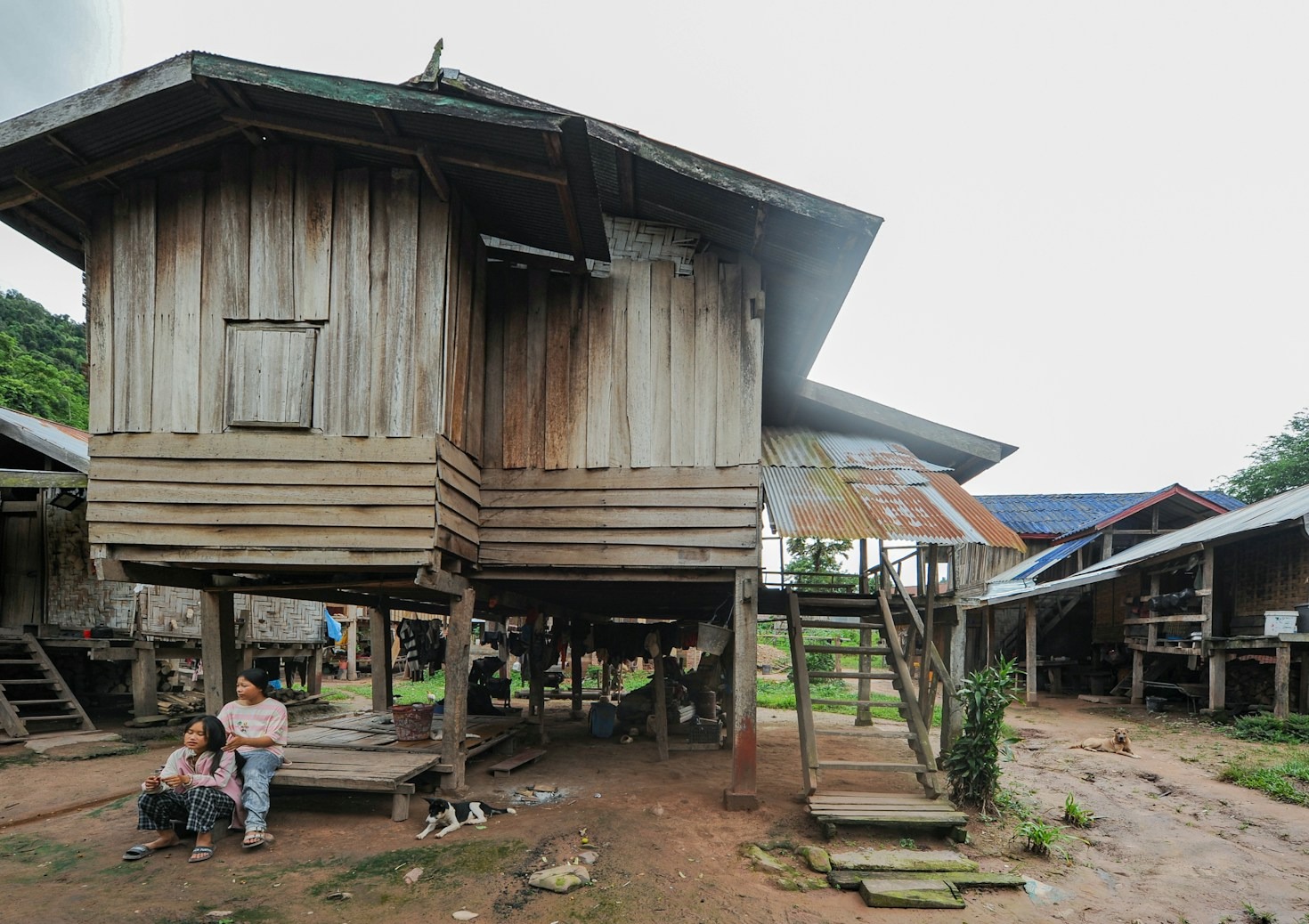 IMFR’s Impact: Stories from the Field